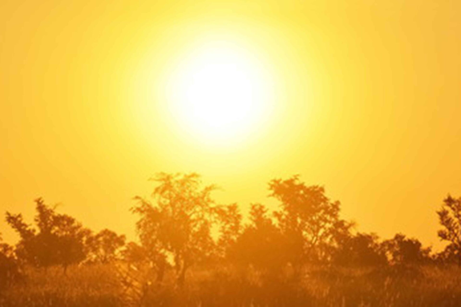 El Niño è ufficialmente arrivato, potrebbe essere super con conseguenti ripercussioni sul clima