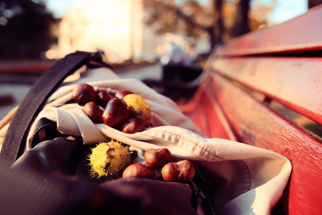 Törgelen in Alto Adige: una gita tra castagne, vino nuovo e foliage