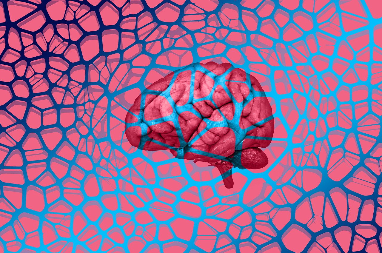 C’è un circuito neuronale che si attiva quando si supera l’ansia