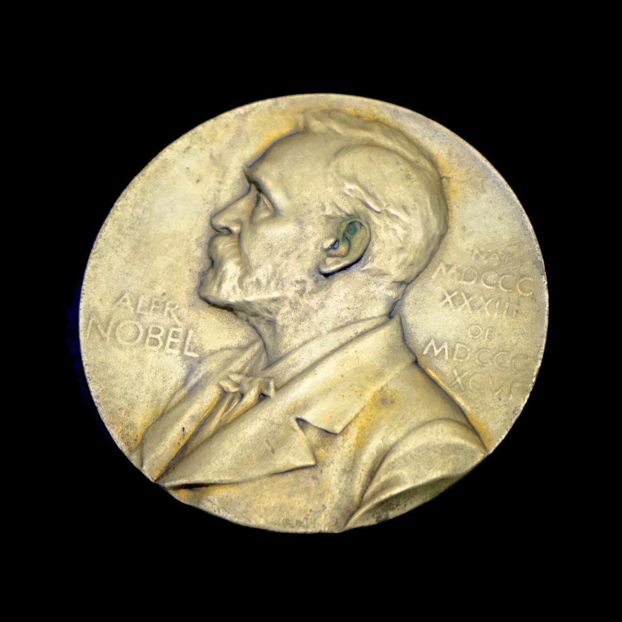 Il Nobel per la medicina 2025 premia la tolleranza immunologica