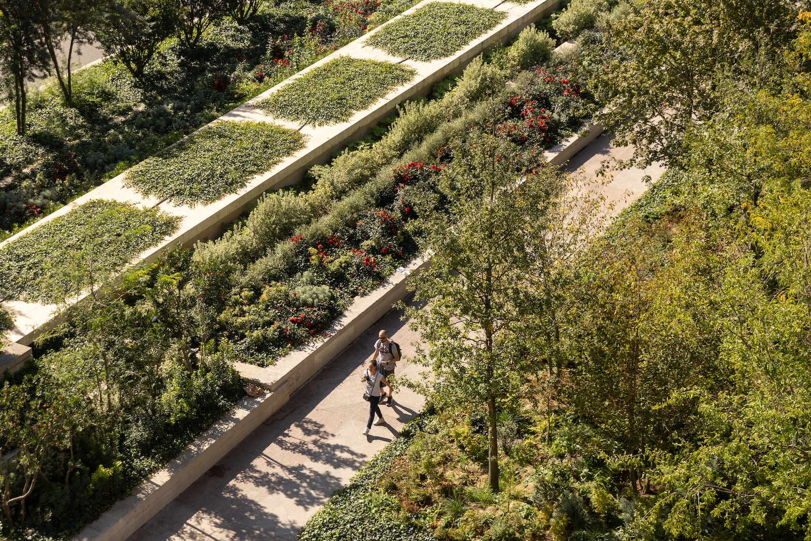 Un dettaglio della nuova foresta urbana di Parigi sulla piazza dell’Hôtel de Ville: le diverse specie piantate favoriscono la biodiversità.