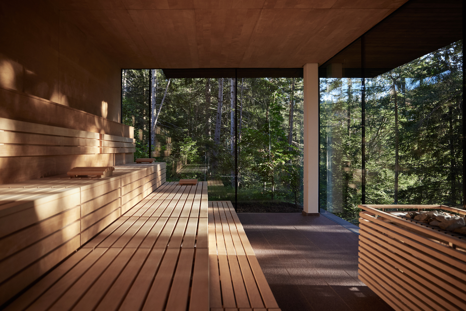 La Forest SPA riflette l’anima dell’Hotel Saltus: qui il forest bathing trova la sua espressione più pura.