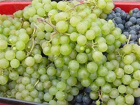 Of cheery cherries, grapes and me, the tightwad