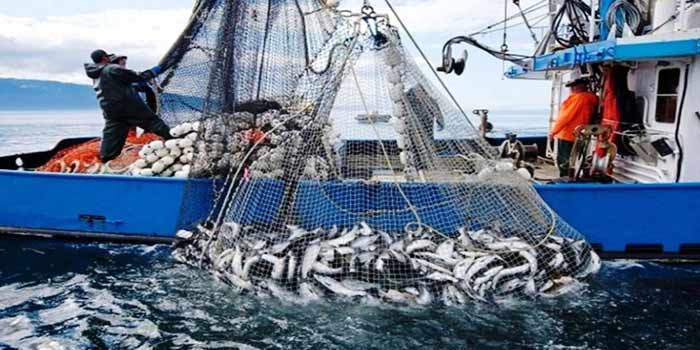 Port de M’diq: Hausse de 38% des débarquements de pêche à fin novembre