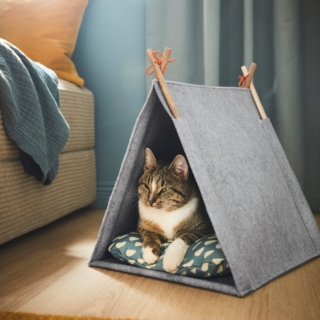 La casetta per cani e gatti Utsâdd offre un rifugio accogliente ai cuccioli di casa per rilassarsi e dormire. È facile da spostare dove l'animale si sente maggiormente a suo agio e si può completare con un morbido cuscino per renderla ancora più comoda. Non ha bisogno di viti o attrezzi per il montaggio: si può dispiegare e usare immediatamente e altrettanto rapidamente si può ripiegare quando non serve. Prezzo 19,95 euro.
