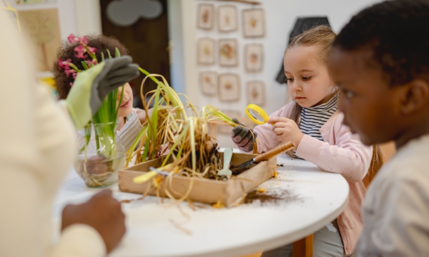 laboratorio bambini con piante