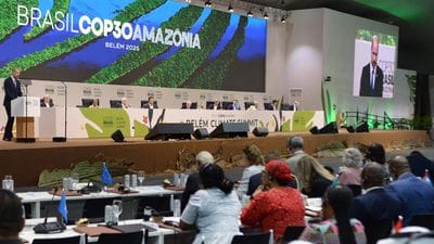 Cop30: si poteva fare di più. Il think tank «Ecco» ci aiuta a fare il punto