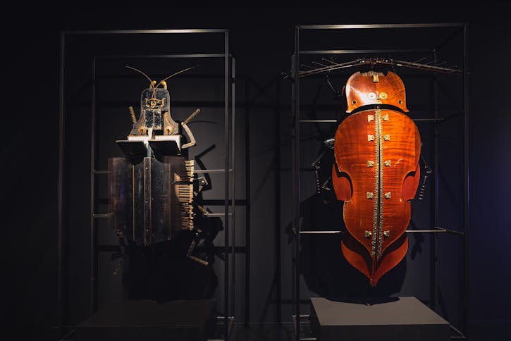 Exposition familiale. Au Muséum d’histoire naturelle de Neuchâtel, les insectes donnent le la