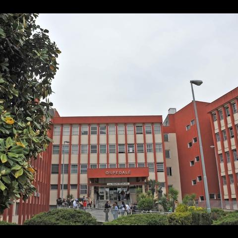 Bimbo di 13 mesi azzannato dal pitbull di famiglia, lo salvano in extremis