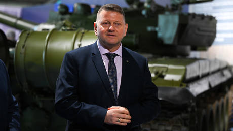 Former Ukrainian Armed Forces Commander-in-Chief Valery Zaluzhny,