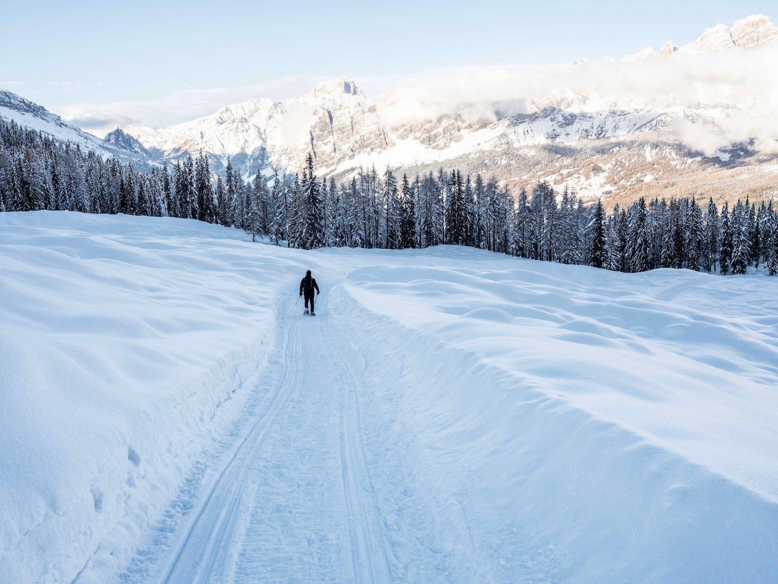 Se cerchi cosa fare a Cortina a gennaio, le escursioni con le ciaspole rappresentano una delle esperienze più suggestive.