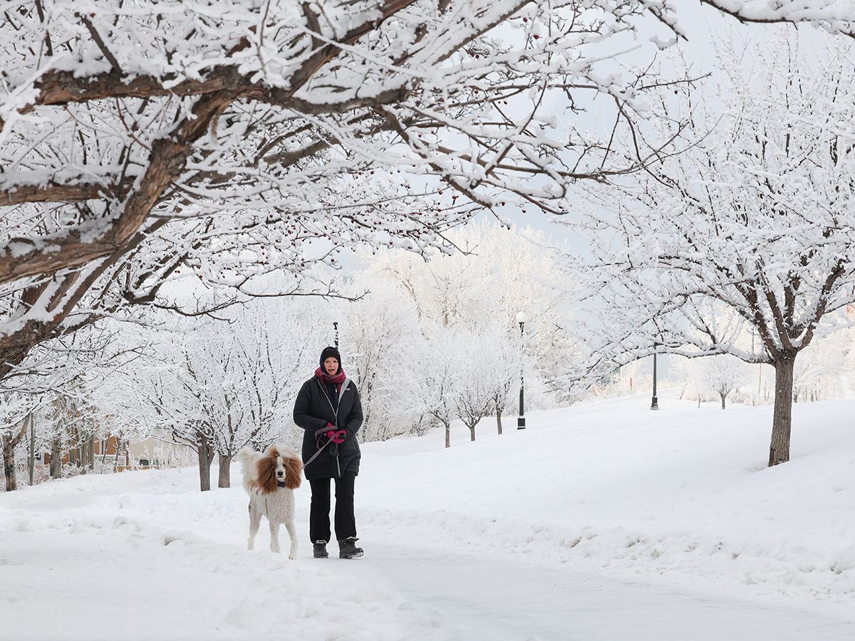 A thick layer of frost isn’t harmful to trees — it actually protects them