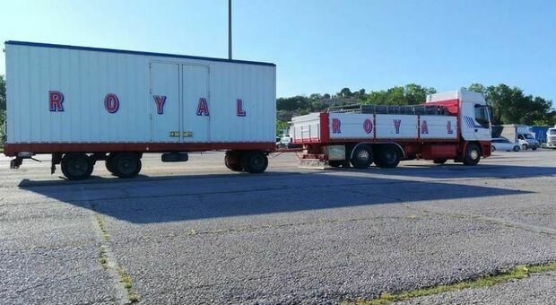 Ancona, fumata bianca (in extremis) per il circo: Consulta spiazzata, ma lo show si farà