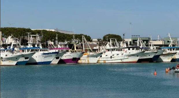 Il gasolio è alle stelle, ad Ancona la pesca taglia le uscite: «Rischiamo il fermo. Costi aumentati da 1.900 a 3mila euro al giorno»