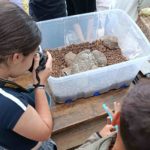 Buscando al nuevo Indiana Jones: 400 escolares laguneros se convierten en arqueólogos por un día