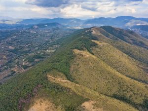 Sul monte Acuziano piantati 700 alberi negli ultimi 4 anni